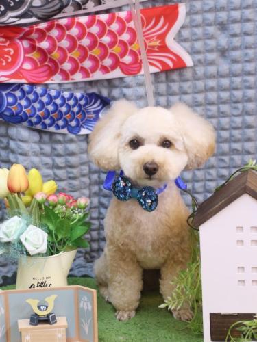 20230517ランチちゃん